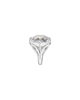 NENYA ring